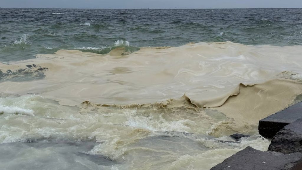 Пляжний сезон в Одесі може зірватися через забруднення моря