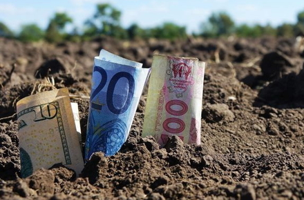 Сільгоспземля в Україні за п’ять років роботи подорожчала майже утричі – KSE